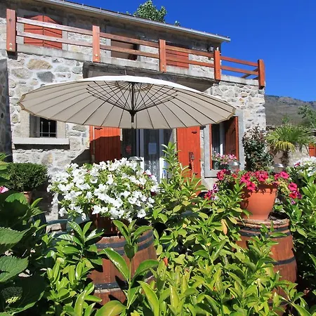 Mandria Mountain View Apartments: Centrally Located Patio